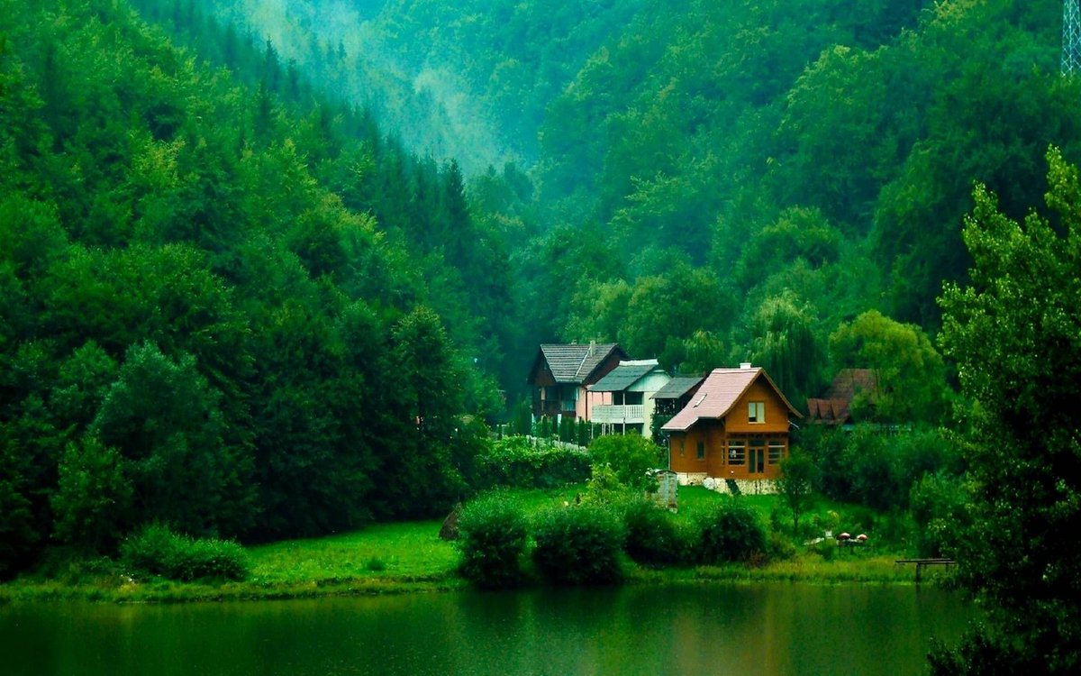 giannis2221963's tweet photo. Beautiful house in the forest https://t.co/sczvGBgOCU