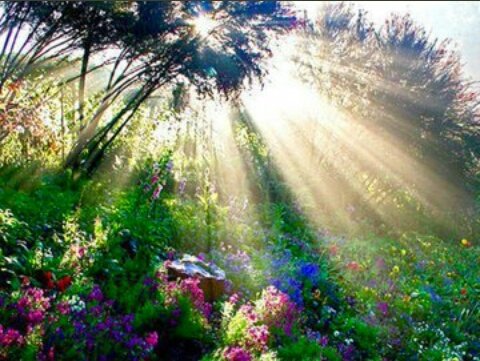 IzabelleCova's tweet photo. #Goodmorning 💐🌸

#BuenosDiasATodos 🍃🌞 https://t.co/EXPoEFUMEY