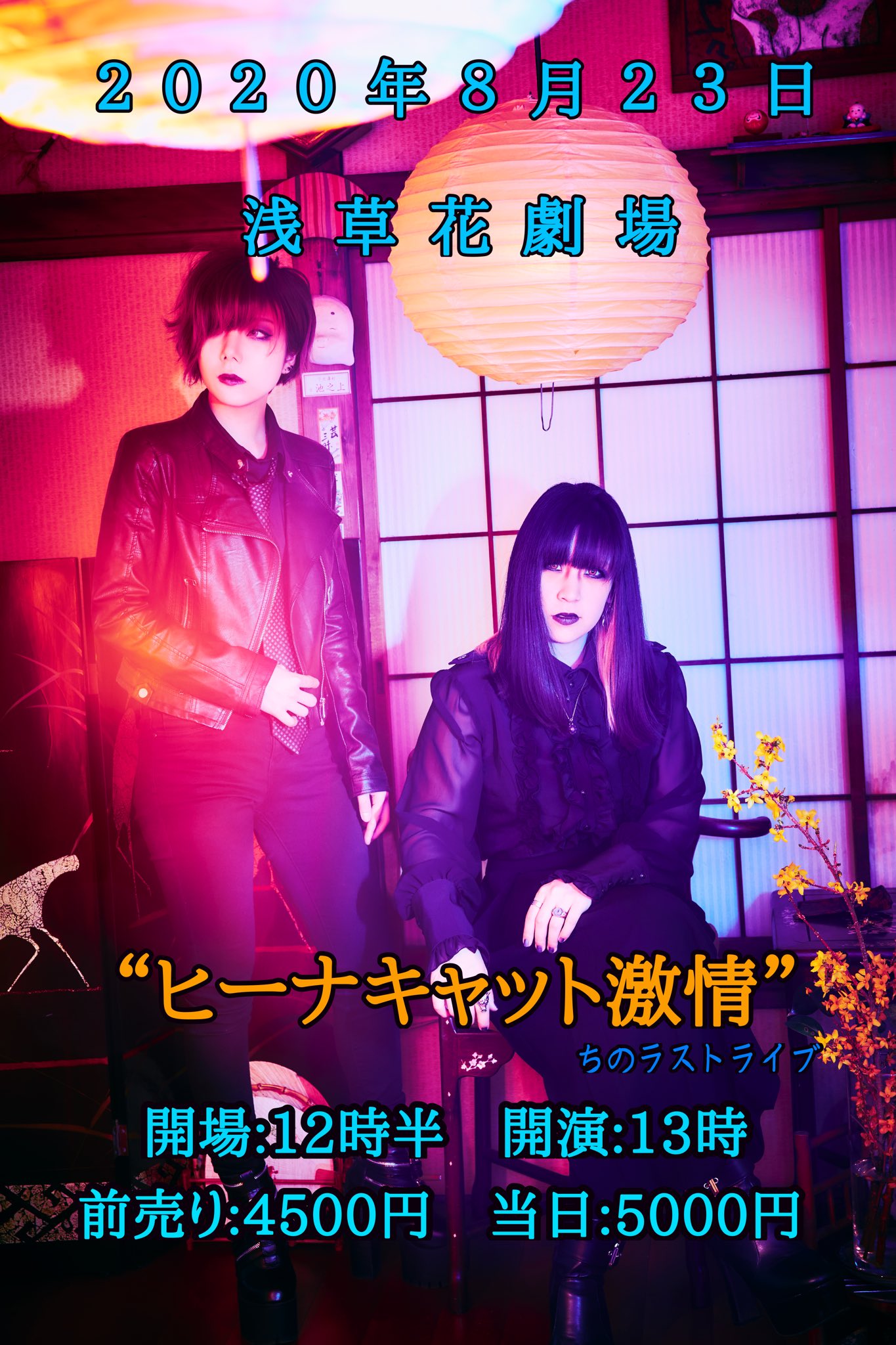 ザ・ヒーナキャット 公式 (@THEHEANACAT) / Twitter