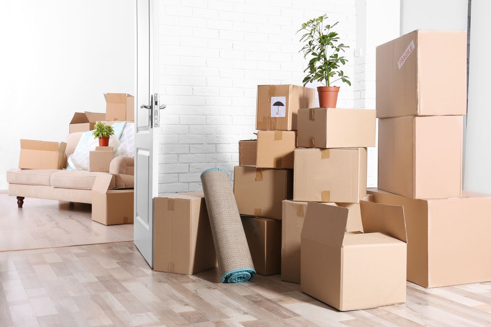 zoompropertyuae's tweet photo. The villa life in the UAE promises a luxurious, comfortable, and lavish lifestyle. If you have already selected a villa for rent and are planning to relocate in it, follow these essential moving hacks.
#ZoomProperty #DubaiProperties #RealEstate
https://t.co/lFqu82kyOO https://t.co/vh9jE0gW5T