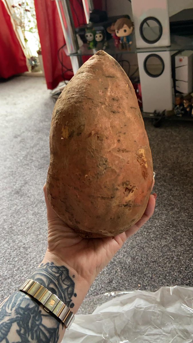 khaleesi_101's tweet image. I ordered 1kg of sweet potatoes from the Wholesalers. They sent one single mutant potato -behold PotatoZilla
