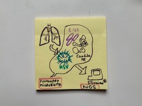 MelFroMDPhD's tweet photo. #microbiota #PostItNotePhD @Bridier_Nahmias @IAME_Center https://t.co/BSb7eNntiP