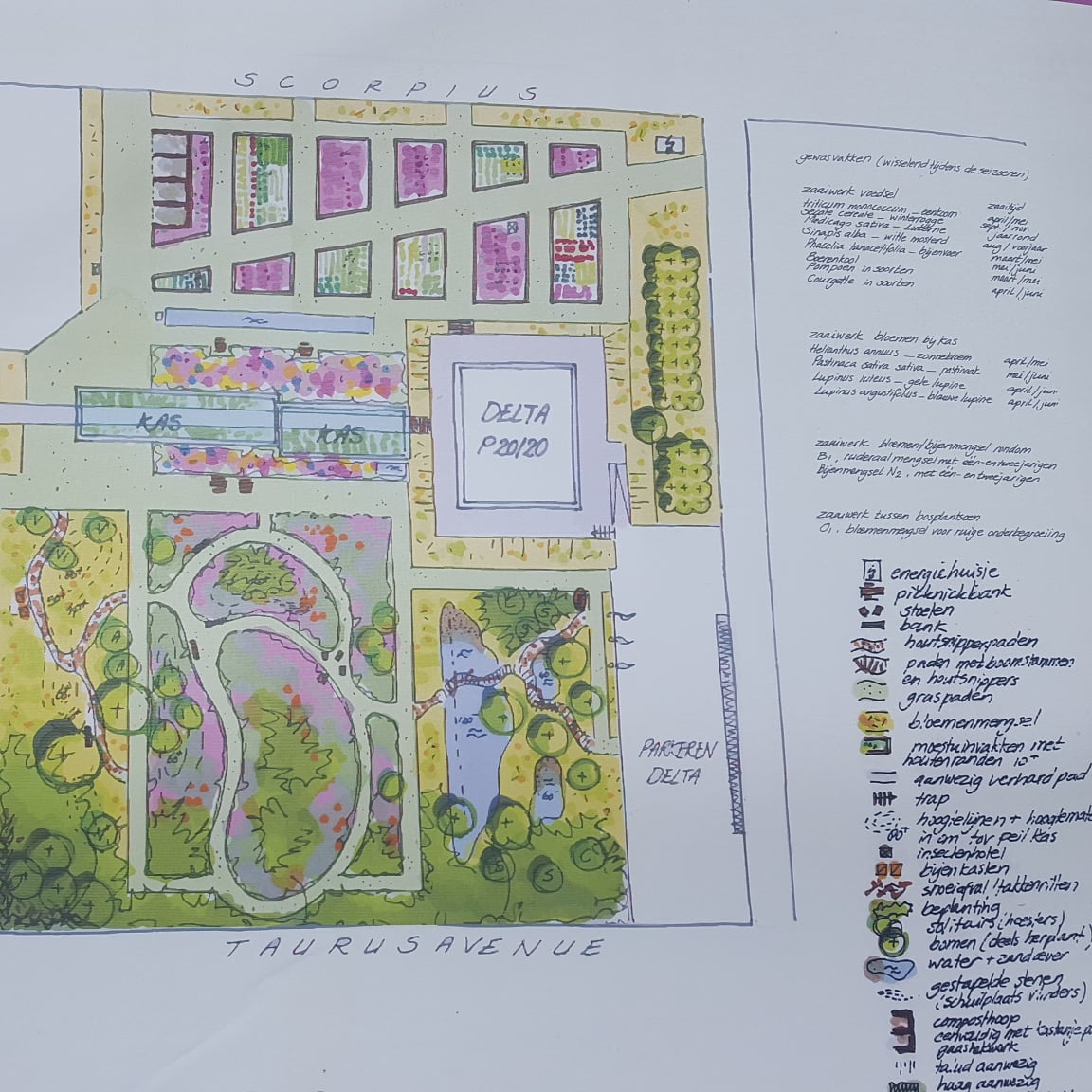 Het originele schetsontwerp van een gedeelte van Park2020 met de moestuin (beheer MEERGroen) en vlindertuin.

#park2020 #biodiversiteit #duurzaamheid #bijen #vlinders 

<a href="/VanderTolbv/">Van der Tol B.V.- Hoveniers en Terreininrichting</a>