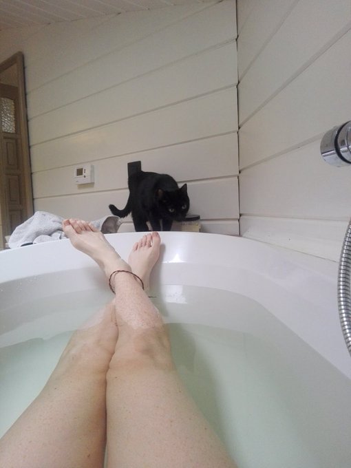 #slaves #moneygoddess #findomme #feetpicturesforsale #FOOTWORSHİP #moneypigs #financialdomination https://t<a href="/tag/slaves"class="tags">#slaves</a><a href="/tag/moneygoddess"class="tags">#moneygoddess</a><a href="/tag/findomme"class="tags">#findomme</a><a href="/tag/feetpicturesforsale"class="tags">#feetpicturesforsale</a><a href="/tag/financialdomination"class="tags"><span>#financialdomination</span></a><a href="/tag/footworship"class="tags"><span>#footworship</span></a><a href="/tag/moneypigs"class="tags"><span>#moneypigs</span></a>