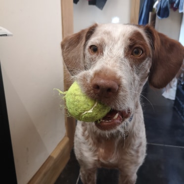 The biggest challenge of working from home for Jacquie is social distancing from the children's baking and trying to explain to the dog why every minute is not all about play or cuddles.

What is your biggest challenge?

#StaySafeStayHome