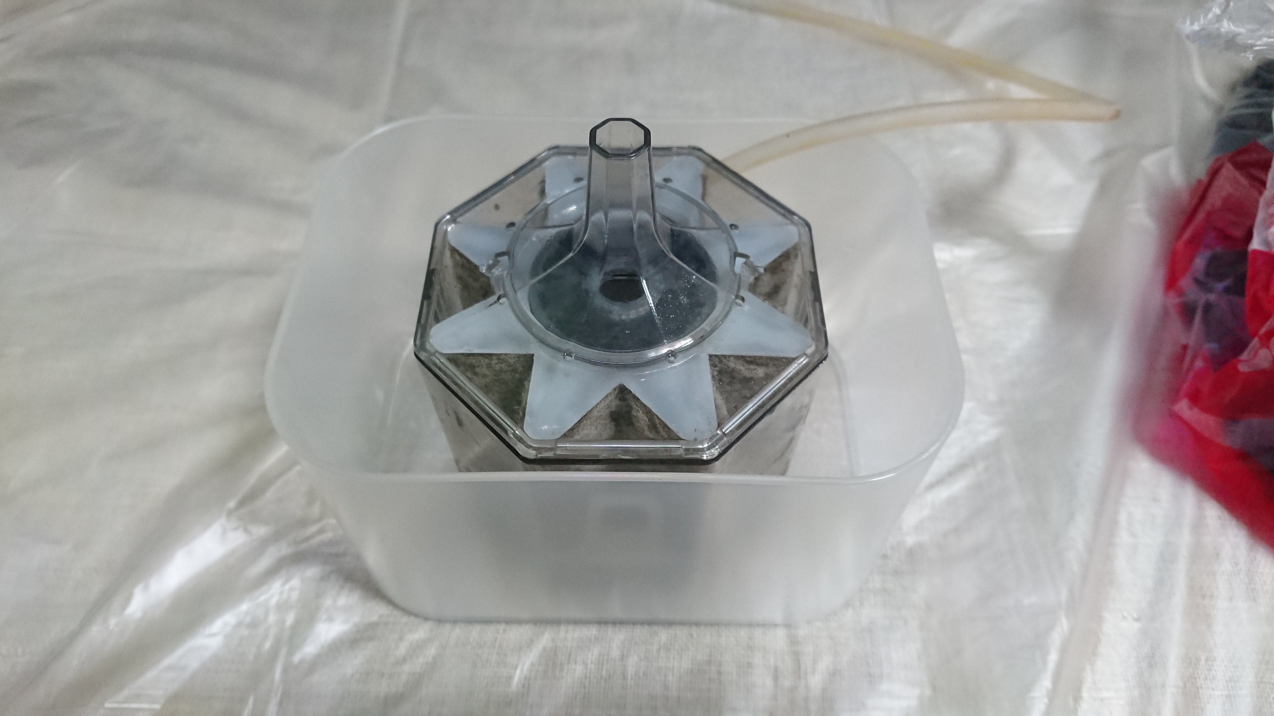 Mamoru 魚づくりは水作り 投げ込み式フィルターの 水作エイトコア Mをプチ改造しました ダイソーで買ってきた積み重ねボックスに 水作エイトコア Mを入れて 砂利を入れて完成です 投げ込み式フィルターに底面式濾過をプラスし 生物濾過能力を若干