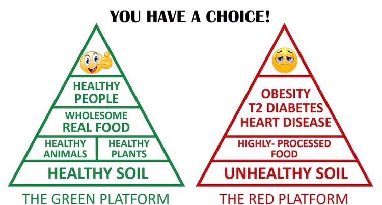 My first #SFP Soil-Food-People meeting initiative. Listen to Ivor Cummins- ‘Chronic Disease Realities’, David Atherton- ‘The Answer Lies in the Soil’, Tara Kelly- ‘We Empower People’, Pat Mulcahy- ‘Nourishing the Mind’, Declan Coyle- ‘Positively Green’. bit.ly/2xggBud