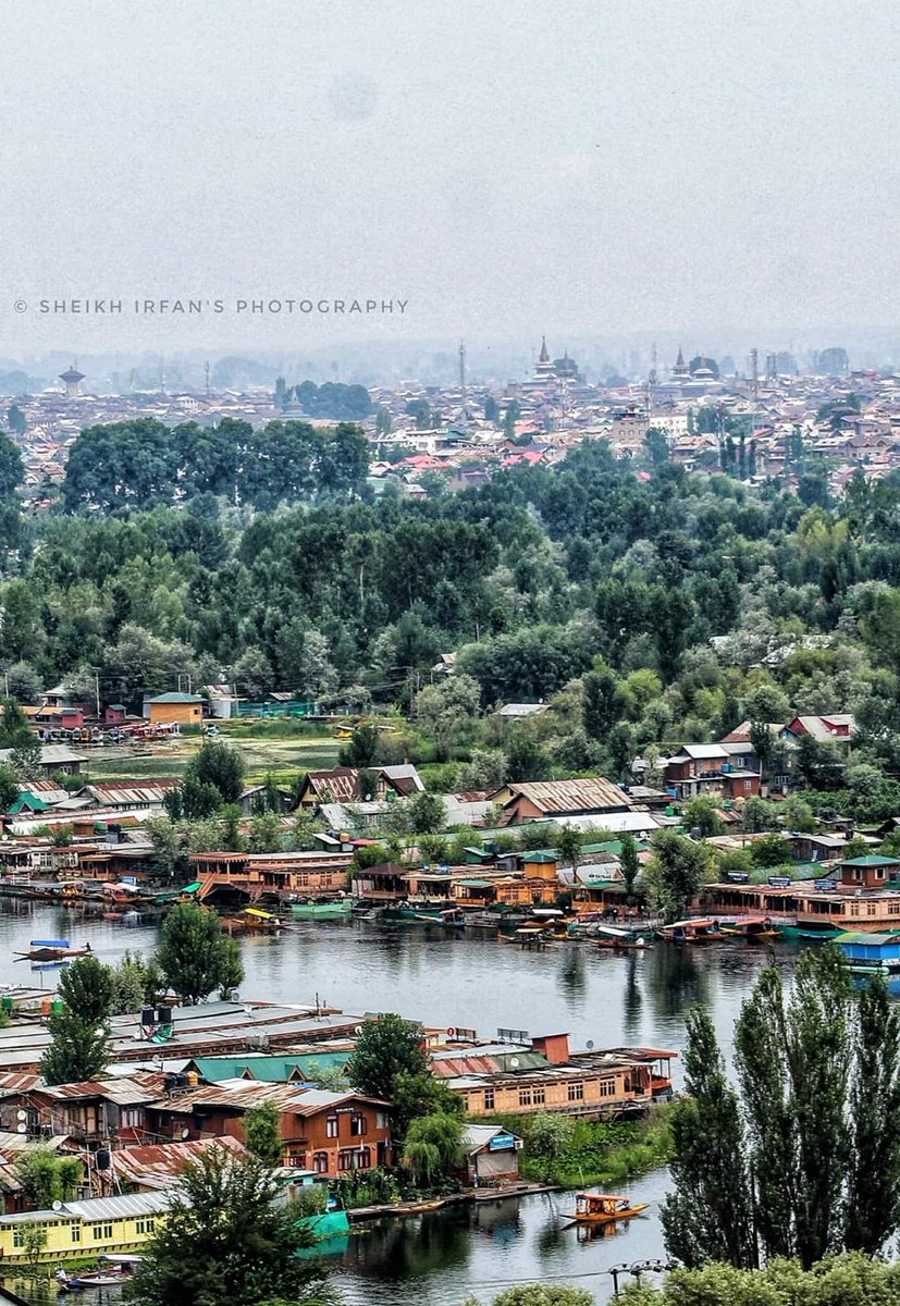 KashPhotoClub's tweet photo. Aerial view of Dal Lake and Srinagar Old City.
Photo by Sheikh Irfan

#KPC
#KashPhotoClub
#KashmirPhotographyClub
#Kashmir https://t.co/dFkk2t9yDO