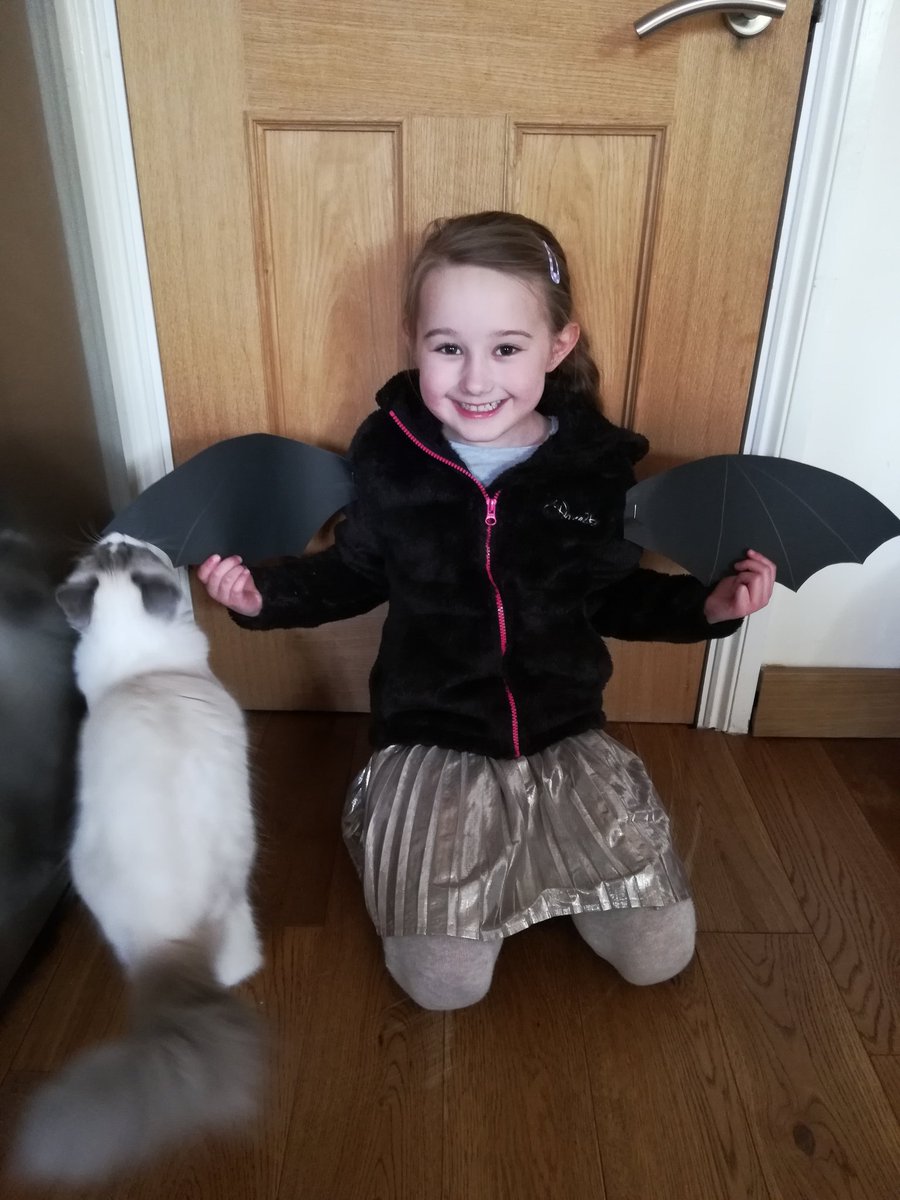 K4T1E13's tweet photo. @StChrisPrimary for Art today, Layla decided to make bat wings, following on from our learning about nocturnal animals yesterday 🦇 https://t.co/Abw7DpetpN