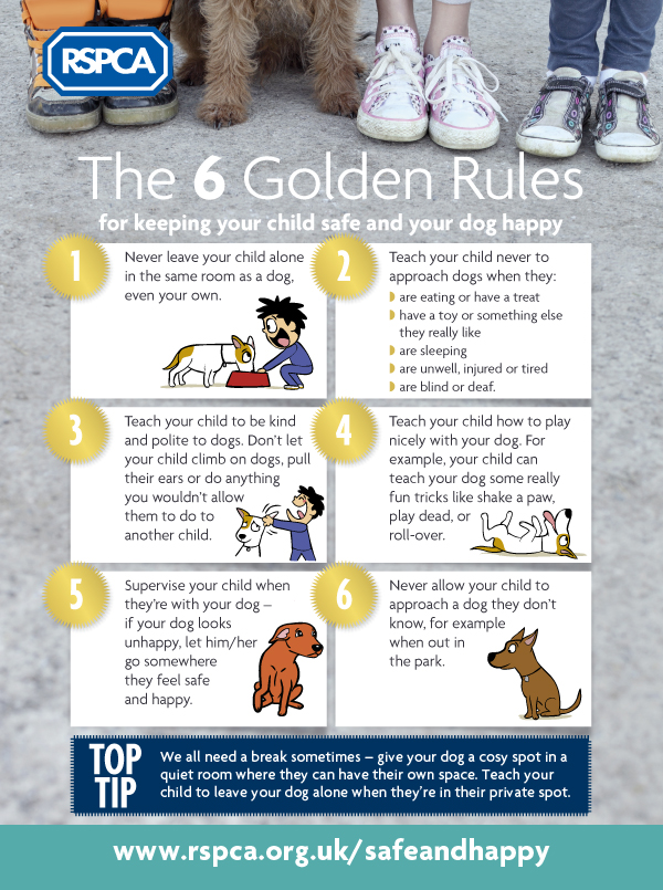 panda_unit's tweet photo. We regularly see children coming to us with dog bite injuries, often from trusted family pets. 
These injuries can be serious and life changing. To reduce the likelihood of these incidents @RSPCA_official have six golden rules. https://t.co/fkcA1s7Ctl
