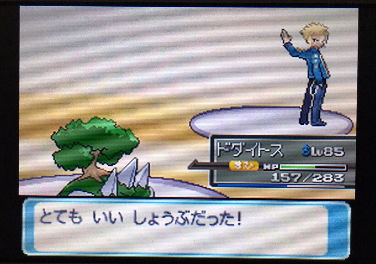 ドダイトス プラチナ