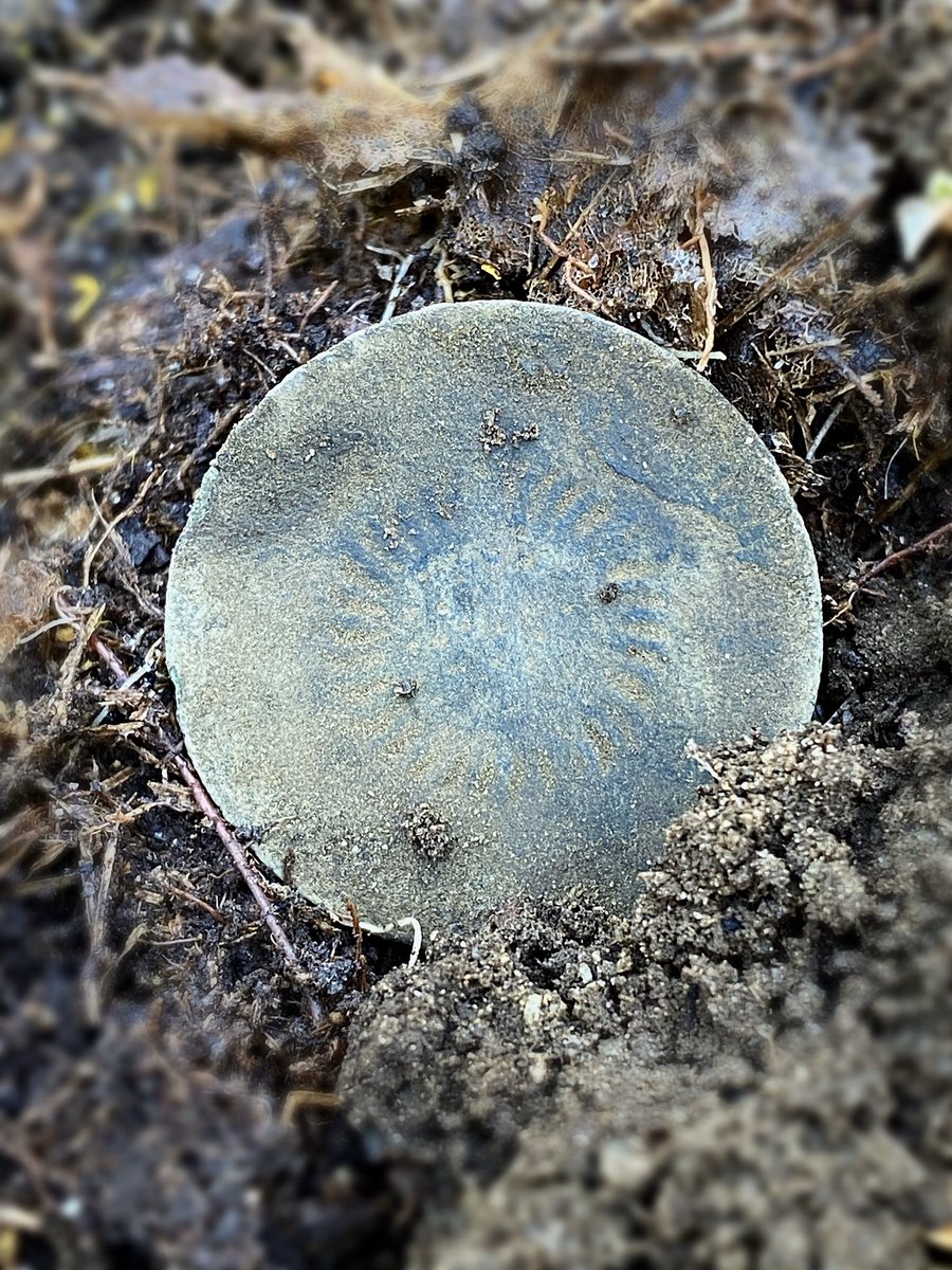 Silverslingers's tweet photo. Good morning! Beautiful decorated 1700’s coat button with a ☀️ design! 💛
#metaldetecting #metaldetector #metaldetectors #metaldetectingfinds #dirtfishing #relichunting #colonial #history #oldbuttons #treasurehunt #artifacts #whiteselectronics #mxsport #besthobby #diggers #dirt https://t.co/HHfFv1qX8N