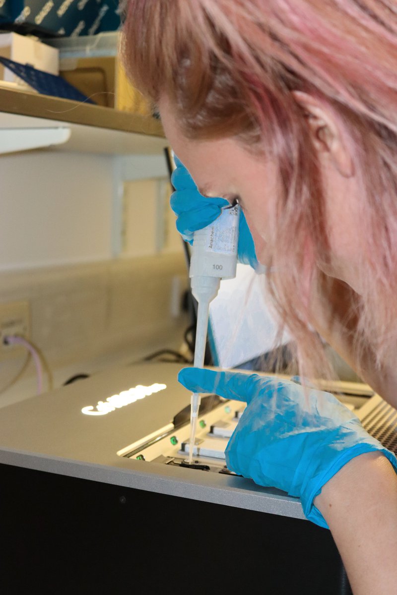 CVR_Genomics's tweet photo. Real-time @nanopore #SARSCoV2 sequencing @CVR_Genomics is only possible with the massive efforts and support of our superusers. Here we have @ElihuAranday loading the MinION and @kirstynbrunker loading the GridION. Thank you SO much! #sequencingninjas #clapforkeyworkers 👏 https://t.co/nJr1ejASVd