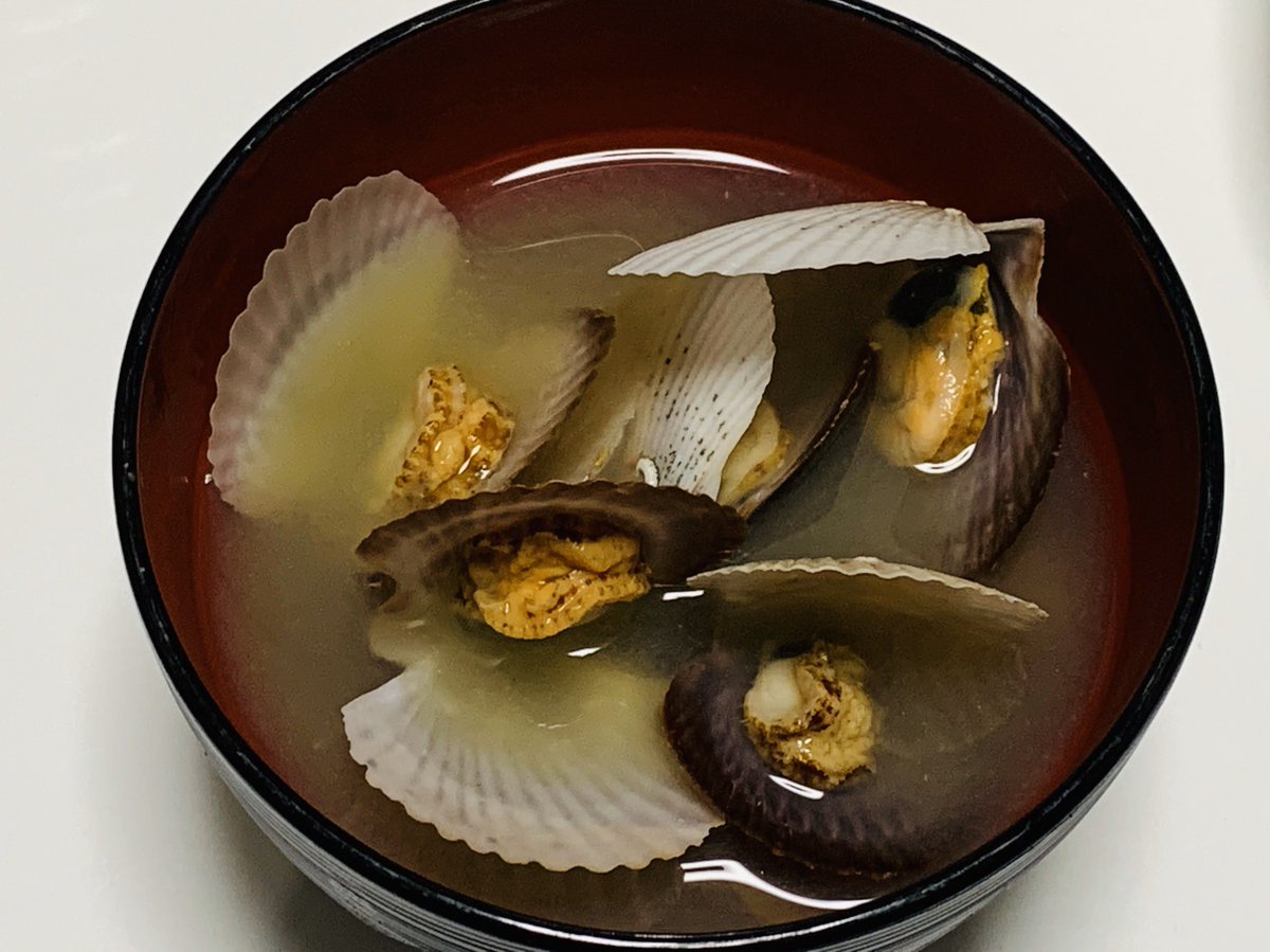 ホタテ稚貝 ホタテ稚貝