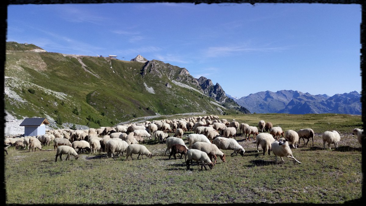 TravelsAndLove's tweet photo. Bonjour Twitter !
On s'évade une nouvelle fois en photo (Photo d'archive)
Bon confinement à vous !
#Savoie #FranceMagique #MagnifiqueFrance #EnFranceAussi #PromenadeEnFrance #BaladeSympa #TravelAndLove #SublimePlanète https://t.co/zNK6BBWMwz