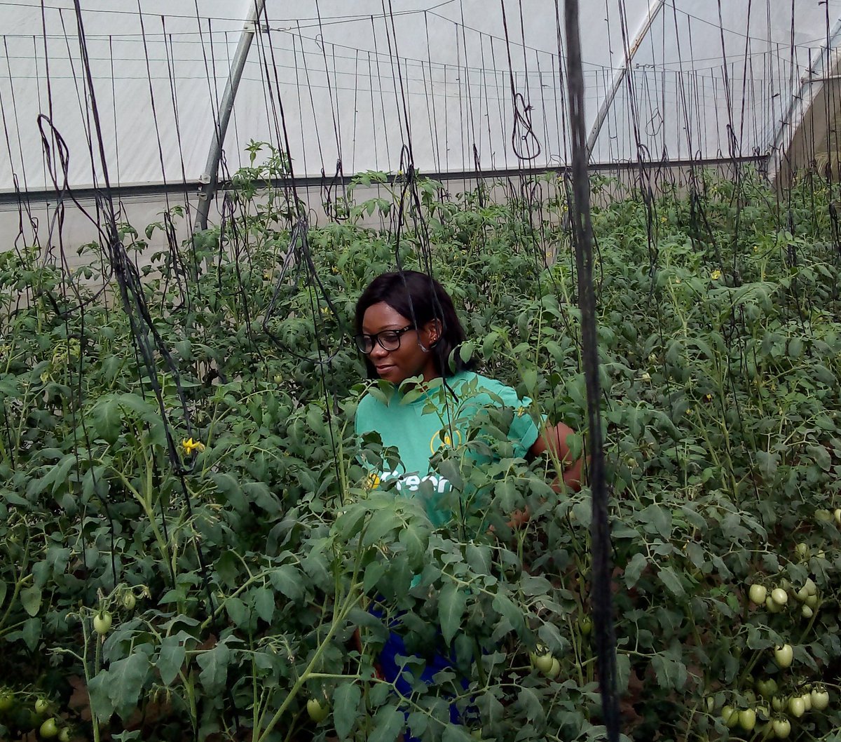 eccentricangela's tweet image. If you want to know what your future will look like, analyse what you do on the daily!! #TechShelta
#farming #womeninagriculture #Agribusiness #bosslady 🤓