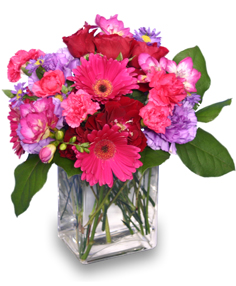 Get that spring feeling with Hot Pink Pizzazz! Order online now for same day delivery!

cameronsflowershop.com/product/va0300…

#kwawesome #flowers #hotpinnk