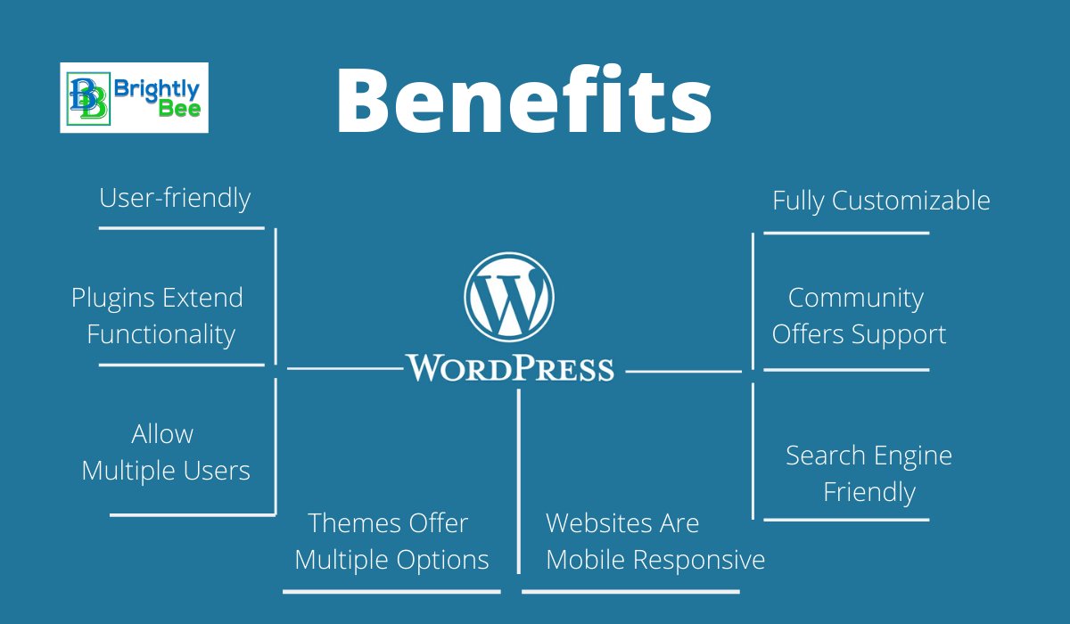 brightlybeeserv's tweet image. Have you wondered several benefits for your business in the WP platform, here you go!

#businesswebsite #wordpressdesign #wordpressthemedevelopers #wordpressblog
#DigitalMarketing #digitalmarketingtools #digitalmarketingexperts #Brightlybee