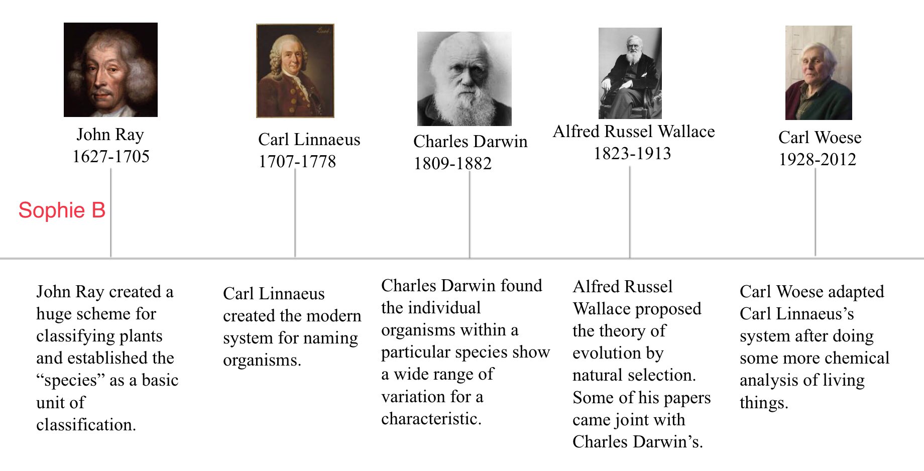 Theory Of Evolution Timeline