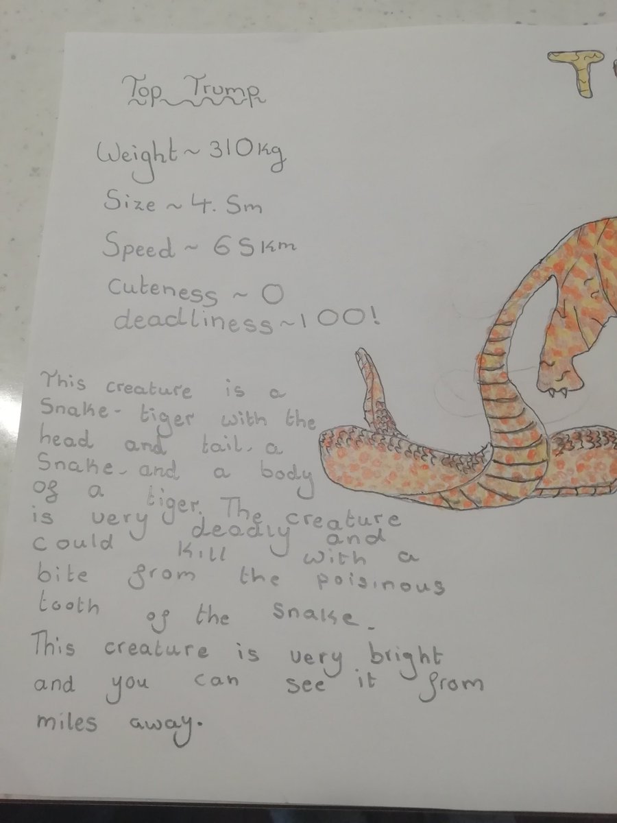 Michell02309290's tweet photo. @StAnthony5_6A This is Beth's 'Tiger -snake'...... 0% cuteness 100% deadliness!!!! https://t.co/CGu9RVAfvR