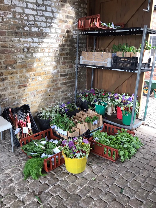 tonylouki's tweet photo. Pεπάνια! Proud, both as trustee of @Chiswick_House and the #55thMayor. Big shout to @LaTrompetteUk for the crops donation, #Chef Rob and Jane for today's batch of #sourdough loaves, Sheldon and pals burning this #Covid19UK sucker out at da #APlusPlus @LBofHounslow Community Hub. https://t.co/mShSDubYv4