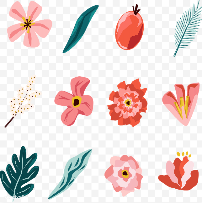byrawpixel's tweet photo. Get some Floral PNGs at https://t.co/iZLOQJhwwf now!

Here: https://t.co/a9rMLuZ0ky https://t.co/rtt41QiuZr