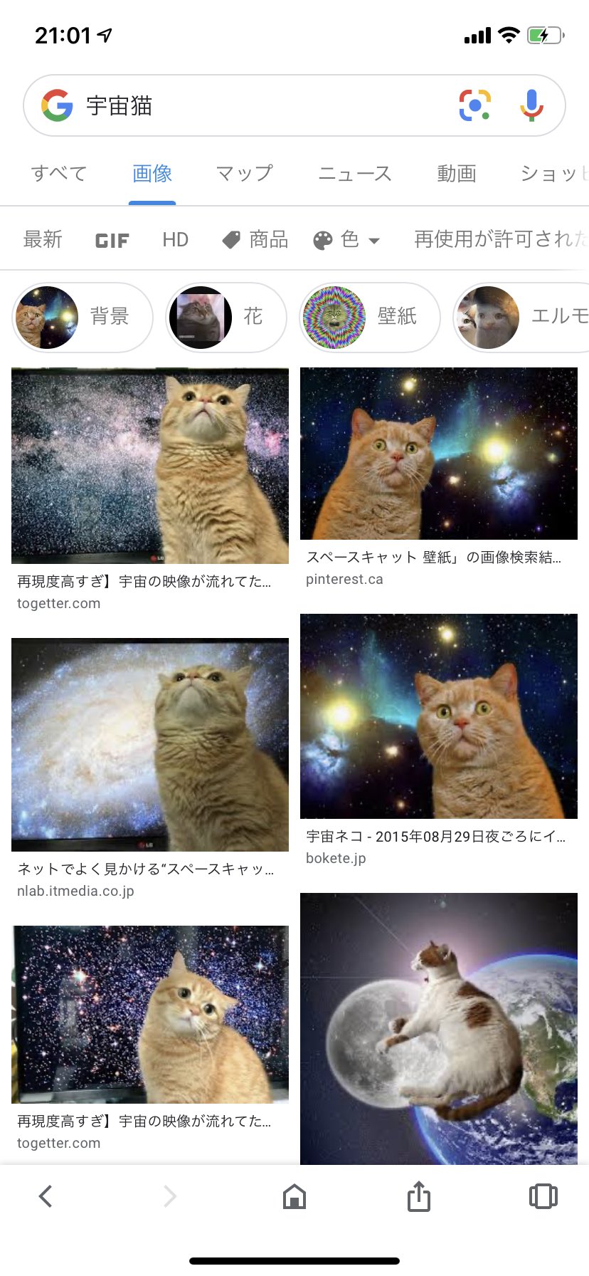 零 ビンタは宇宙猫 T Co Doeqwwt6wt Twitter