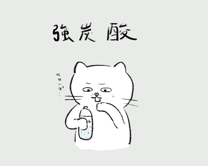 強炭酸水を飲むねこ助。
#ねこ助 