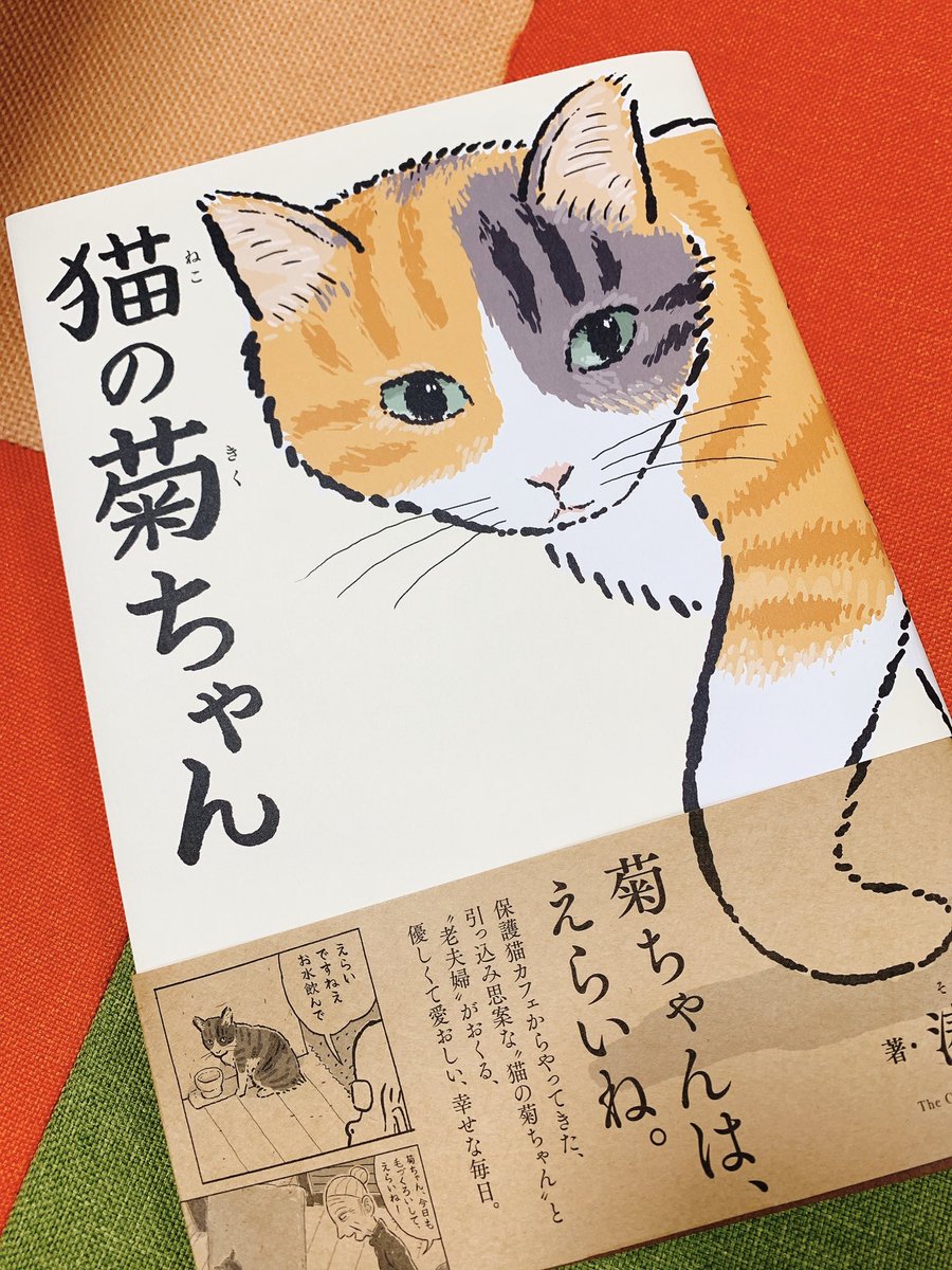 1番好きな猫漫画の猫の菊ちゃんの単行本が発売されてめちゃくちゃウキウキで読んでる🥺💕猫飼ってる人ならわかる〜!!って思うリアルな猫の仕草とか表情をデフォルメしないでデフォルメして描いてる作画がめちゃくちゃすき😭おすすめです… #猫の菊ちゃん 