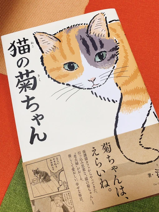 1番好きな猫漫画の猫の菊ちゃんの単行本が発売されてめちゃくちゃウキウキで読んでる🥺💕猫飼ってる人ならわかる〜!!って思うリアルな猫の仕草とか表情をデフォルメしないでデフォルメして描いてる作画がめちゃくちゃすき😭おすすめです… #猫の菊ちゃん 
