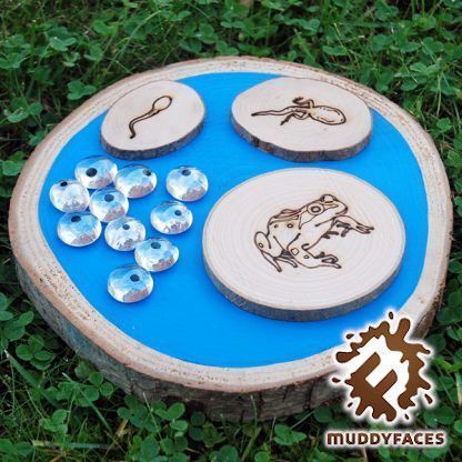 Muddyfaces's tweet photo. Today we have another quickfire frog giveaway!
For a chance to win this wood & glass Frog Life Cycle answer the question below & use #FroggyFortnight & #WinWithMuddyFaces.
2 winners will be drawn at 4pm tmw.
Q: how many frog spawn eggs are sitting on our blue chalkboard pond? https://t.co/dpIOdC2tbr