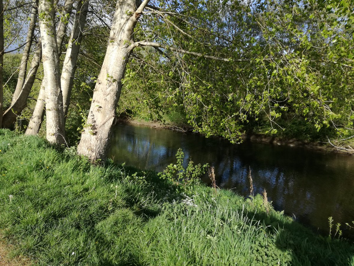 DTPrice91's tweet image. 6 evening walks and 30k of @RAFMUSEUM  #hurricane80kchallenge completed, great to getting the family out on the Severn Way