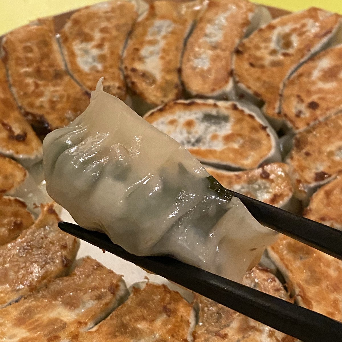 ch1cala's tweet photo. 蔓餃苑の生餃子テイクアウト！蔓餃苑の餃子をこんなに一気にたくさん焼いて食べられる幸せ！溢れ���るげっぷはゼナキングの香り。すばらしき #GyozaWeek https://t.co/OVfX6W6g4y