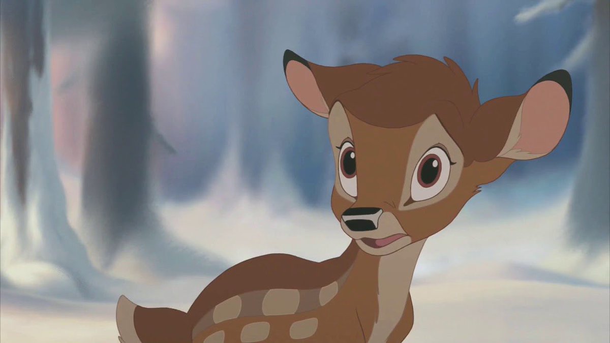Bambi knepper