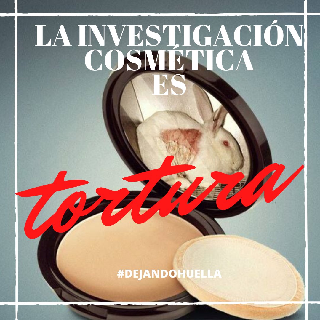 OddaOrg's tweet photo. “Ahora mismo, en la Unión Europea, está prohibida la venta y fabricación de productos cosméticos en suelo europeo (quédate con este detalle) que hayan sido testados antes en animales. Pero claro, hecha la ley, hecha la trampa. https://t.co/fqvkJsi5eG