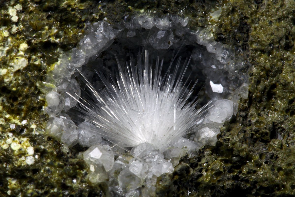 ソーダ沸石 と 方沸石 新潟県新潟市西蒲区 間瀬産 個人資料 細柱状結晶