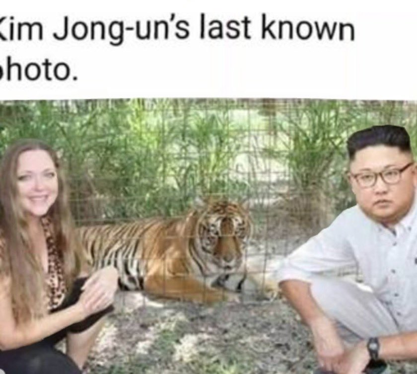  tweet media