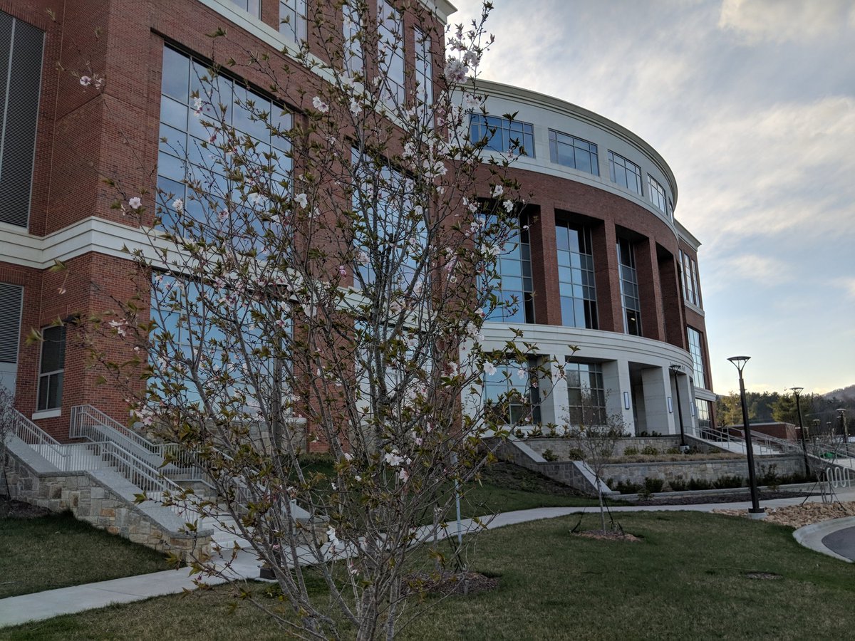 bchsappstate's tweet photo. Can't wait to return to my #APPyPlace and welcome our students back to campus! #APPbacksu https://t.co/bR3k2lMkDG