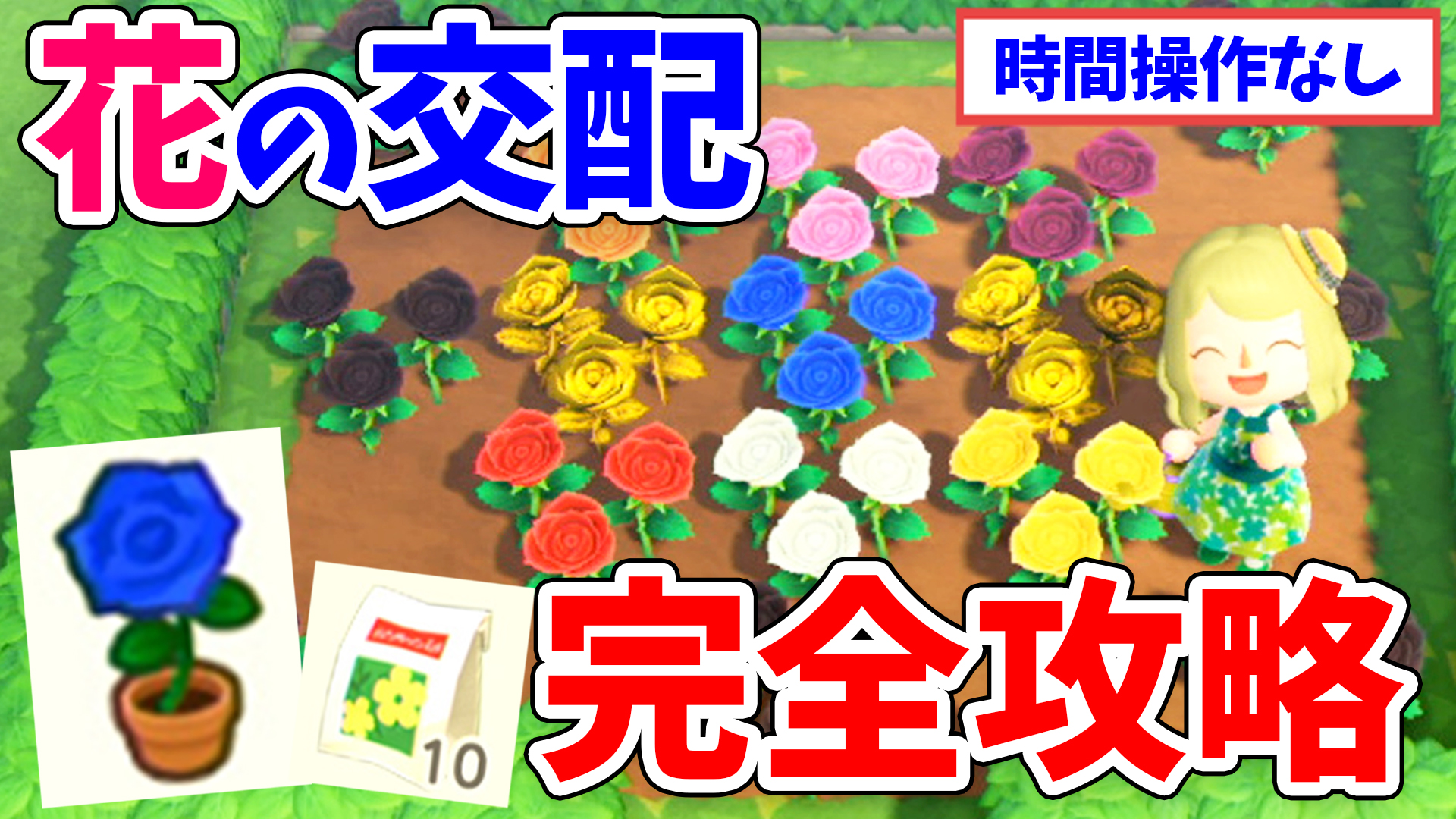 桜ころみん モンハンサンブレイク あつ森 動画up 花の交配についてかなり詳しく解説しました 青バラの作り方は私が成功した方法を紹介しているよ ぜひ見てね あつ森 花の交配を徹底解説 全種類の交配表や青バラの作り方 効率の良い植え方