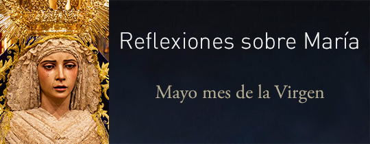hdadsantamarta's tweet photo. Mayo con Ntra. Sra. de las Penas.

Además de la sabatina cada sábado, tendremos una reflexión diaria sobre la Virgen a cargo de varios sacerdotes que han querido estar con nosotros a través de sus palabras.

https://t.co/6voUDTbc89

#CharitasChristiUrgetNos #SantaMartaCercaDeTi https://t.co/OcSDQA2Qzt