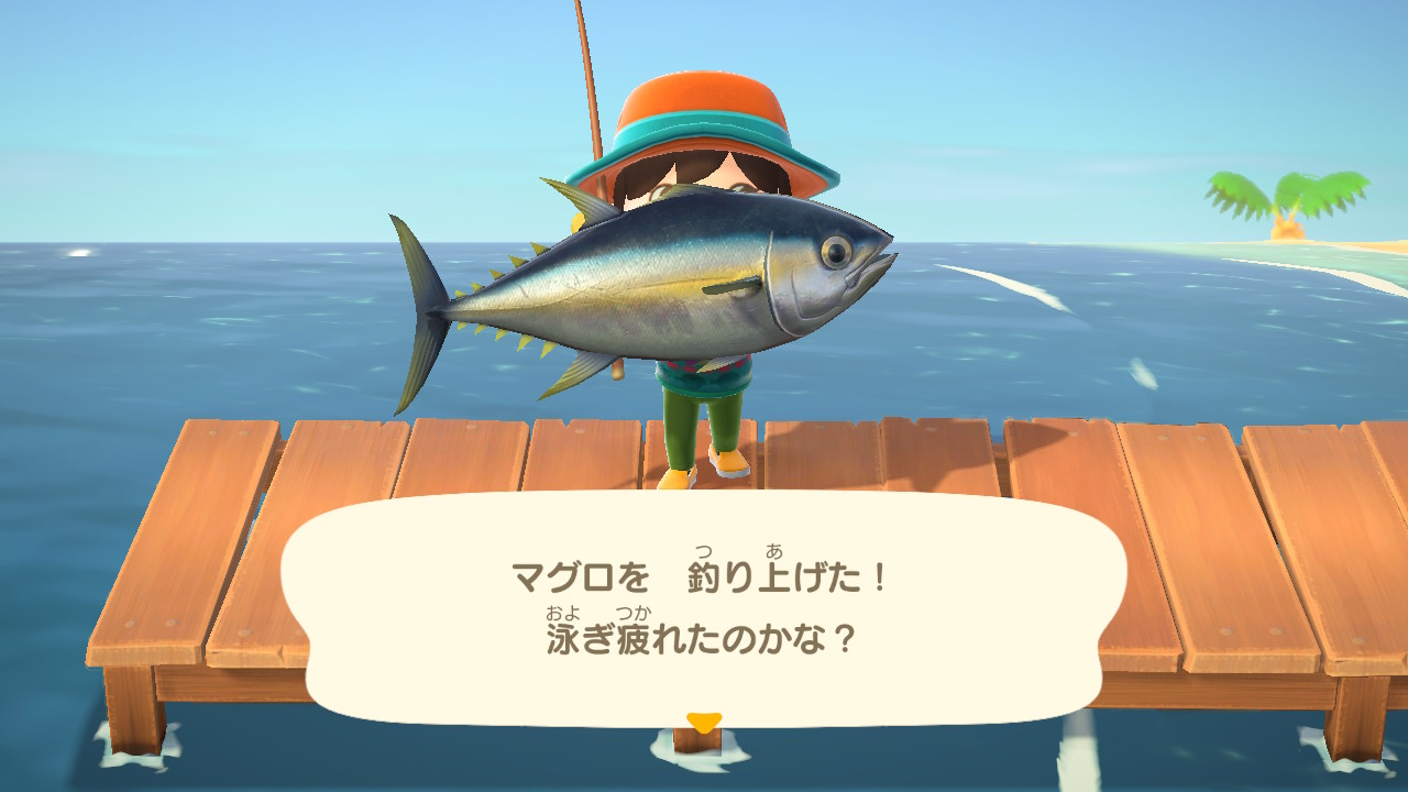 تويتر 永塚 拓馬 على تويتر 14日目 今日で4月が終わる 友達からマグロとカジキが来月から不漁になると教えて貰ったので ひたすらに釣りをした 桟橋で撒き餌をして 目当ての獲物がかかるのを待つこと約1時間 何とか二匹とも釣り上げる事が出来た 高速で泳ぎ