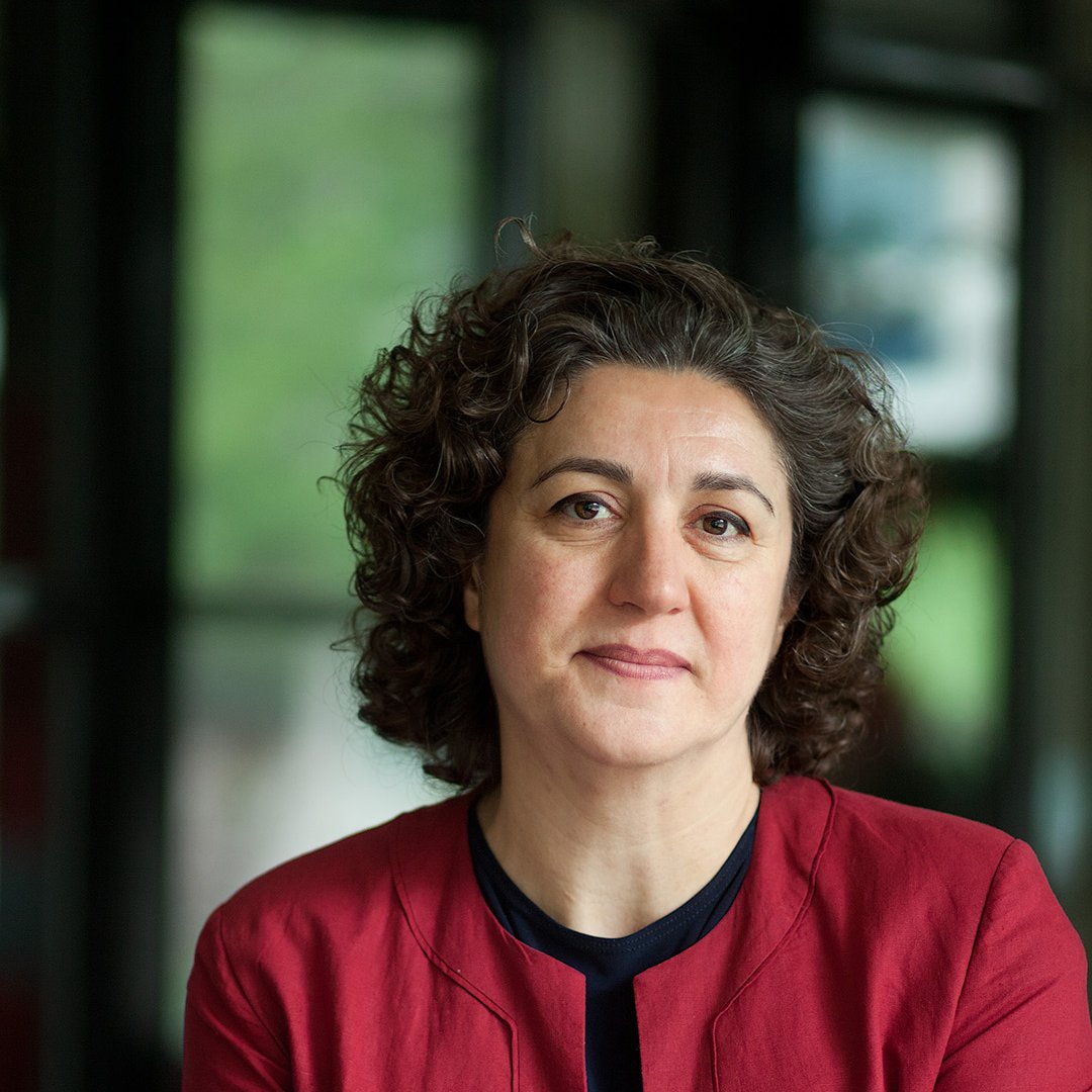 De <a href="/_knaw/">Koninklijke Nederlandse Akademie van Wetenschappen</a> heeft VU-hoogleraar diversiteit en integratie Halleh Ghorashi benoemd tot lid van het genootschap. Ghorashi doet zowel onderzoek naar inclusie van immigranten in de samenleving als naar diversiteit in de top van het bedrijfsleven. bit.ly/2zKbtPU