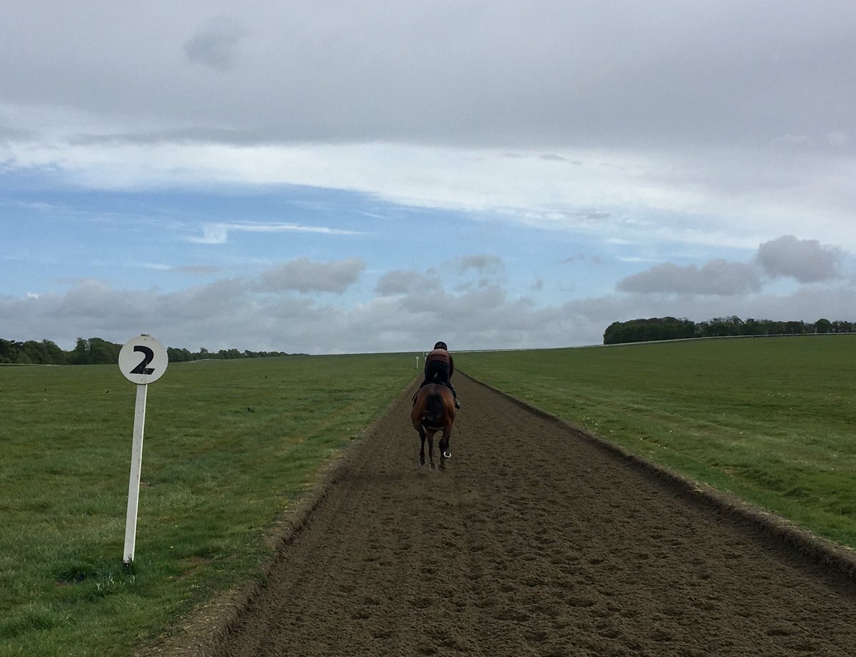 JohnWathenBerry's tweet photo. We’re getting off lightly @NewmarketGallop so far today. Stayed dry through the morning and now into the afternoon too #HopeIsHigh #SoLoved https://t.co/wuRFBYZzeb