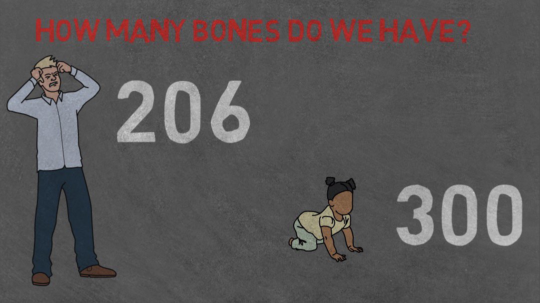 viral_ed's tweet photo. What??? Where’s the bones go? Find out here.
Visit: https://t.co/5QeiUDURPb

#teachers #teacherspayteachers #teacherstyle #teachershare #teachersfollowingteachers #teacherssupportteachers #teacher #school #teachertribe #primaryeducation #students #studentsuccess #studentslife https://t.co/uVe1j6mthV