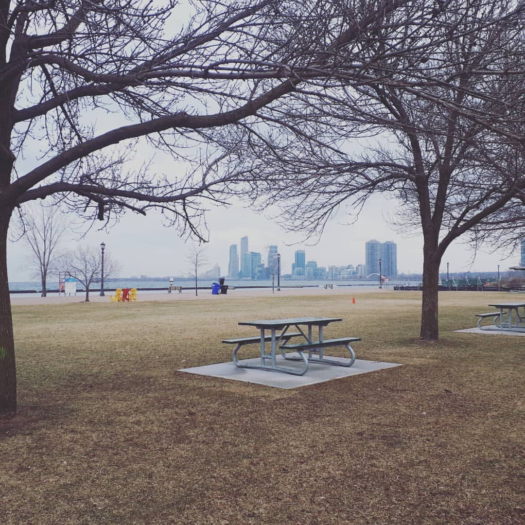 TheDanceCop's tweet photo. Day 6/7 of #mylifeinpictures 
Rules: no ppl, no words. Challenge a new person each day. I was challenged by @Craig_MacCalman and today I challenge @tdsb_FernAvePS https://t.co/n0OKmjVHhc