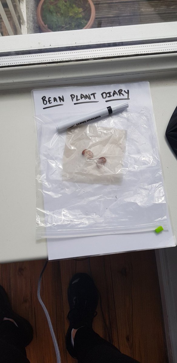 Lucy Gaizely tweet media