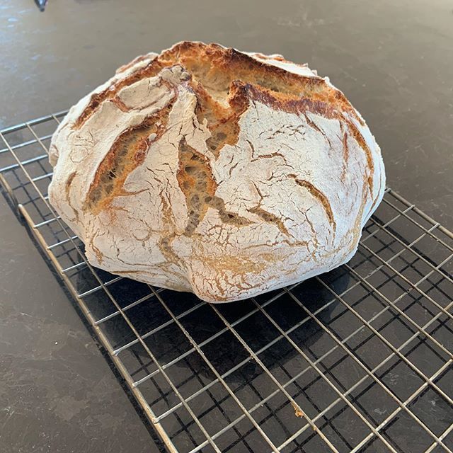 heart_to_home's tweet photo. Well itβs far from perfect but better than the first attempt! Getting there. #sourdough #gettingthere #perseverance #exhausted #tastedgood #sourdoughU https://t.co/VeKznTS9Hp