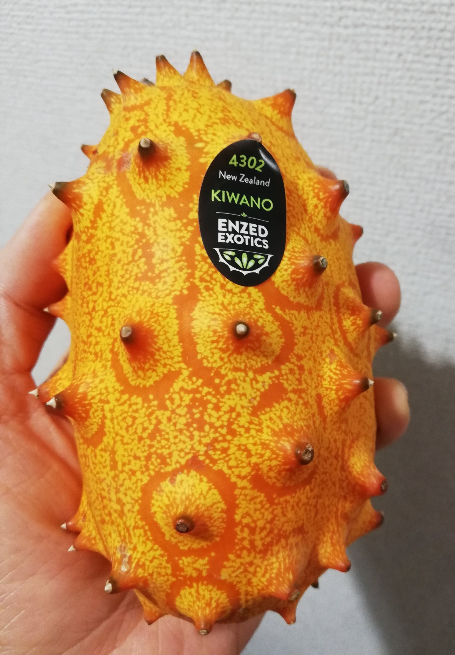 Glode スーパーで売ってたキワノ ツノニガウリ ツノメロン 外見も中身も超ド派手 酸っぱすぎない程度に柑橘系の味にゼリー食感の面白い食べ具合 多分ヨーグルトとかに入れたら美味しい 無いのでハチミツ掛けて食べました ちなみに種はメロンとほぼ同じ