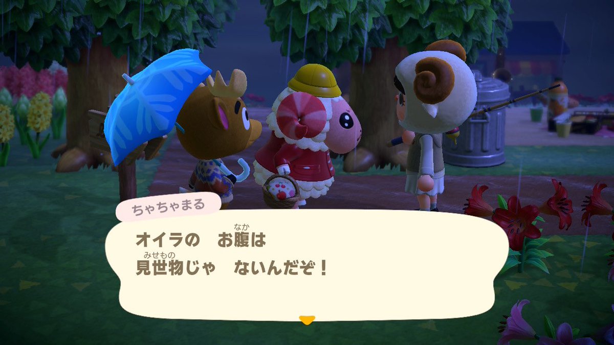 kanamaruuu_'s tweet photo. ちゃちゃみ🥺
#あつまれどうぶつの森 #AnimalCrossing #あつ森 #どうぶつの森 #どう森 #ANCH #ちゃちゃまる https://t.co/usN9U7AFUn