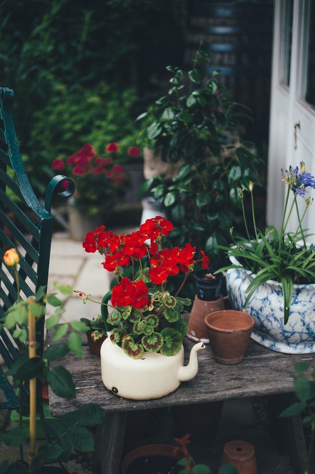 CAST_Lighting's tweet photo. As you’re dreaming up your spring #gardenplans, don’t forget about your #landscapelighting design. It’s the perfect way to enjoy all of your hard work from day-to-night. https://t.co/IPqzlCeUyE